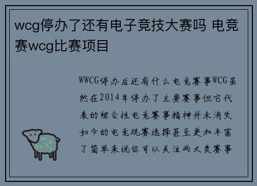 wcg停办了还有电子竞技大赛吗 电竞赛wcg比赛项目